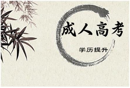 泰安成人高考考点