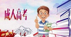 泰安成人高考专升本政治考试答题